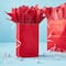 Small Red Paper Bags by Celebrate It™